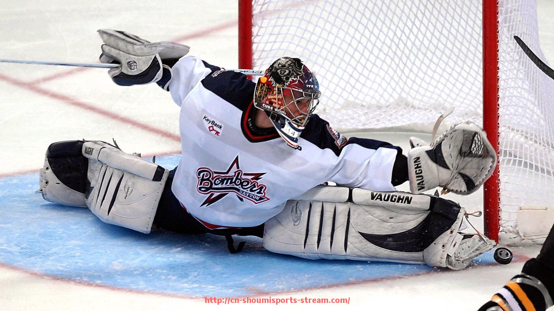 收米体育直播-意甲球队埃利斯简介及其对俱乐部贡献分析